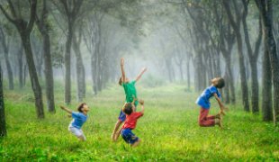 Responsibility And Sustainability