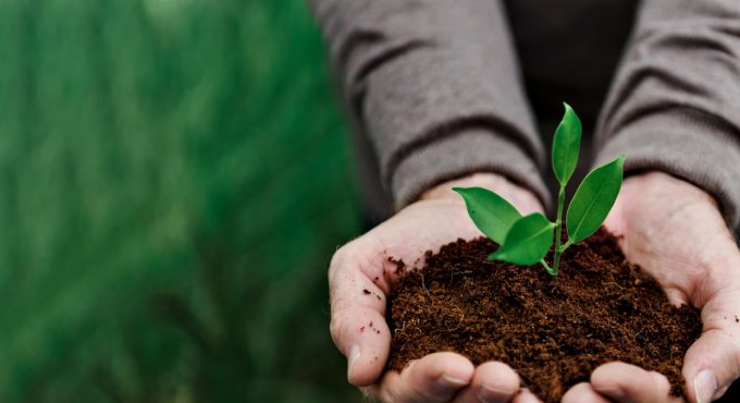 Eco-Friendly Product Development